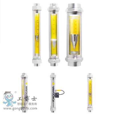 EJA橫河流量計YOKAGAWA日本RAGN浮子流量計