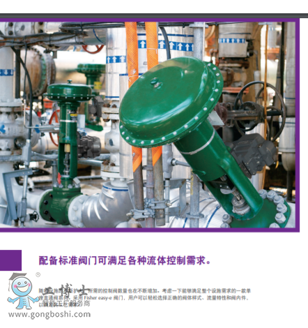 Fisher™ easy-e™ 低溫控制閥