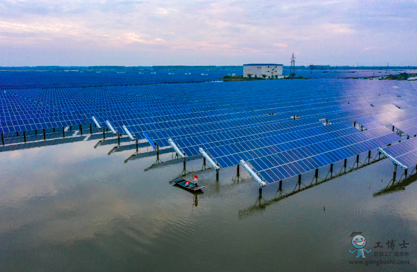 “漁光互補”項目