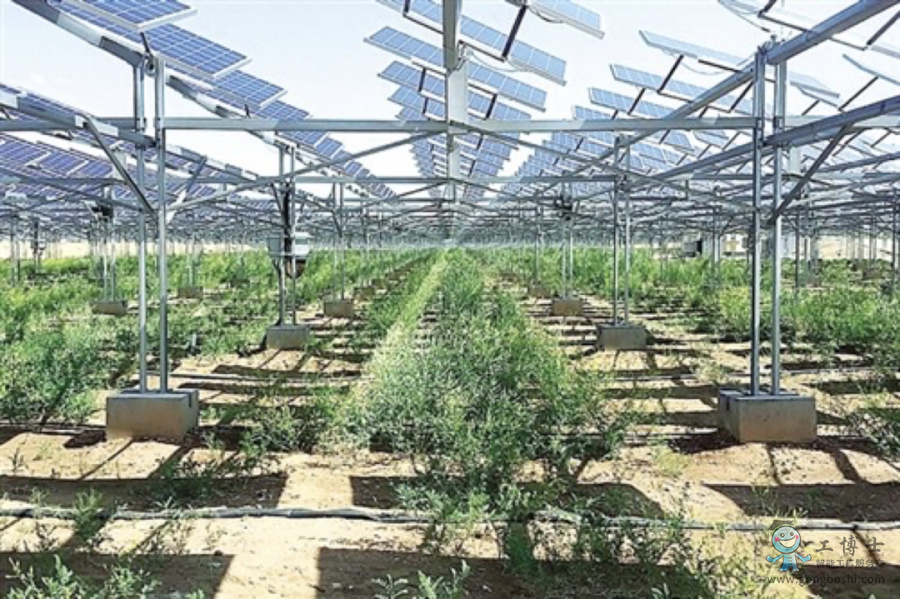 庫布齊沙漠光伏電站