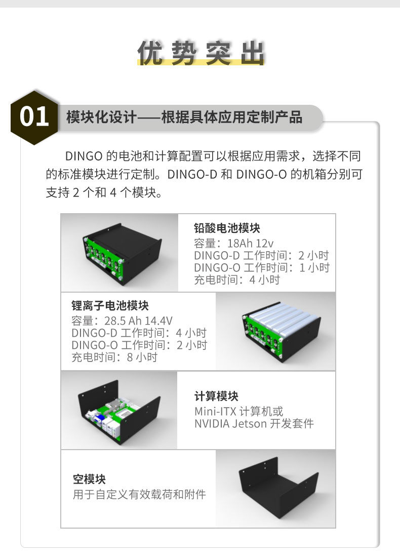 dingo詳情_05