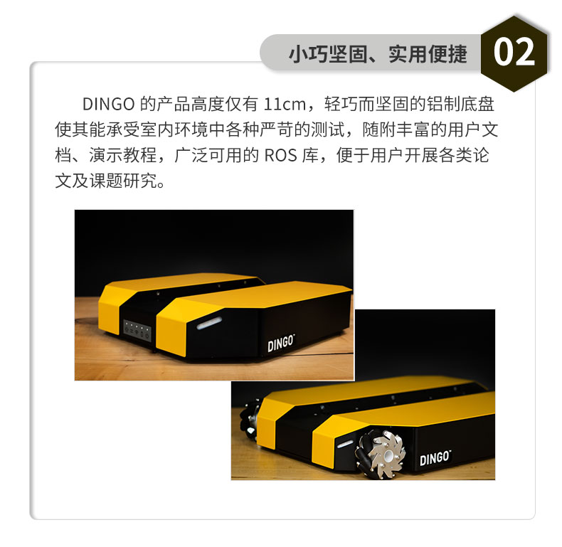 dingo詳情_06
