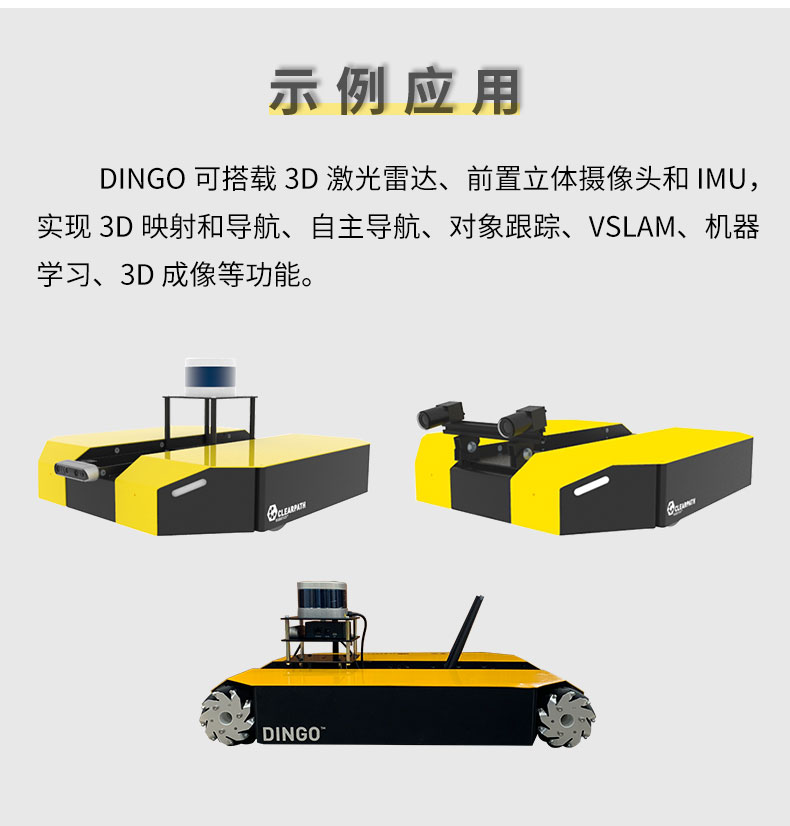 dingo詳情_08