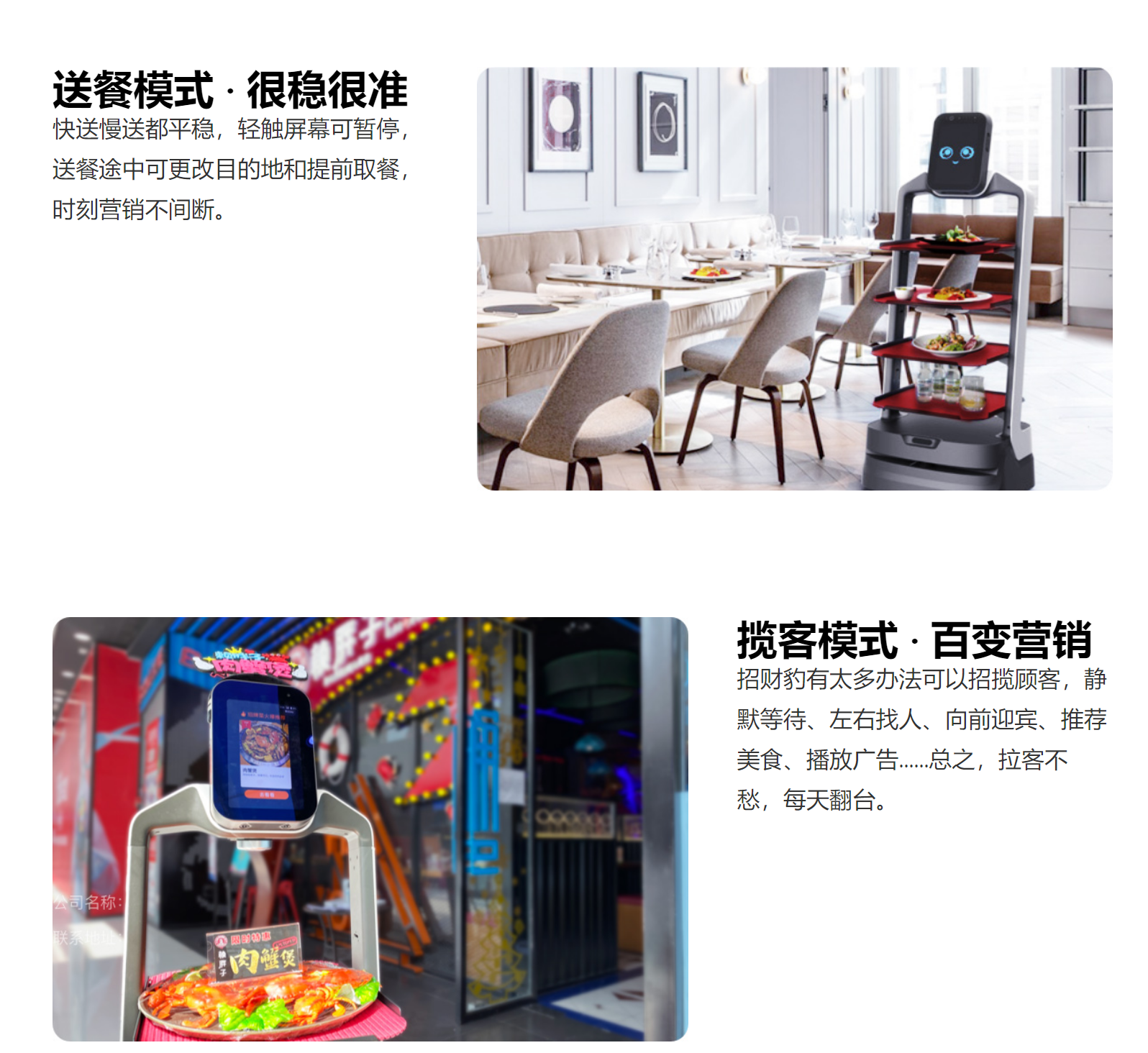 獵戶星空招財豹新聞