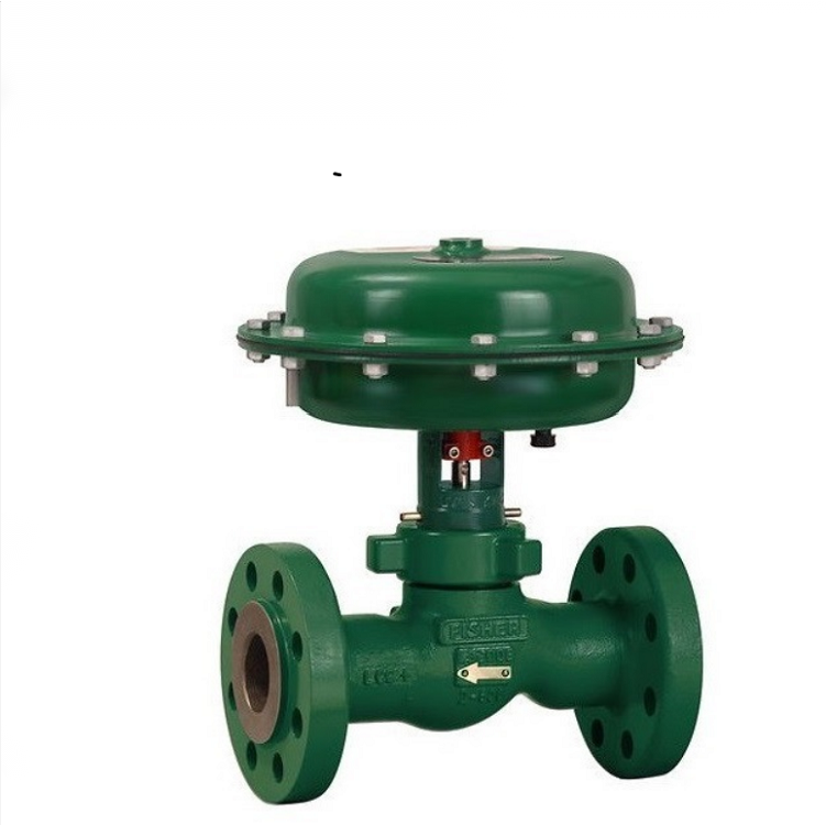 Fisher D3 FloPro 控制閥 (2)